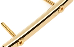 Fixator/retainer corzi Floyd Rose  FRSRGP - Original String Retainer with Screws - Gold