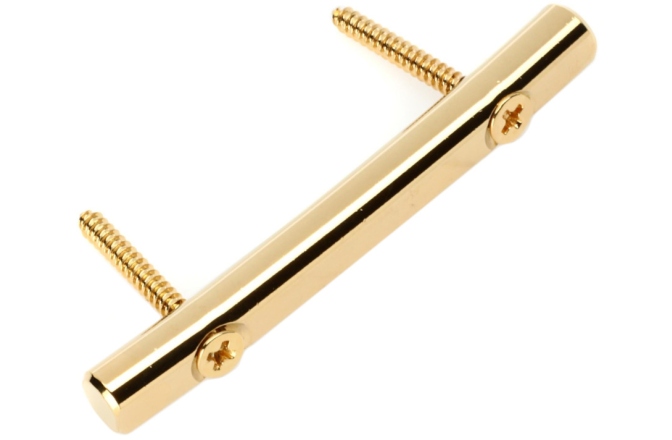Fixator/retainer corzi Floyd Rose  FRSRGP - Original String Retainer with Screws - Gold