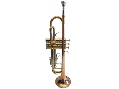 PRO TP M4300G SRR Trumpet