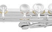 Flaut în Mi (E) Armstrong Arioso FL-501 E