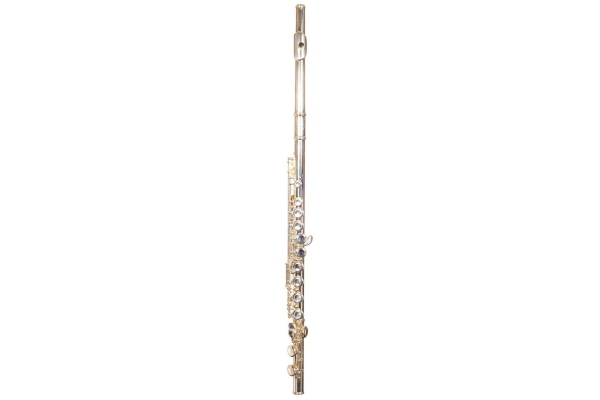 6456 S Flute