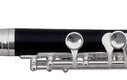 Flaut picolo Roy Benson PC-502 Student Pro