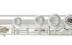 Flaut Roy Benson FL-402 R