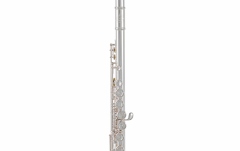 Flaut Roy Benson  FL-602E 