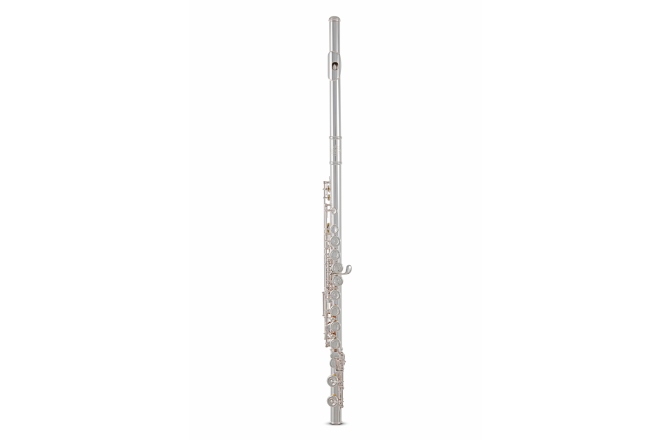 Flaut Roy Benson  FL-602E 