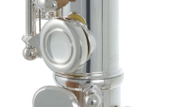 Flaut Roy Benson  FL-602E 
