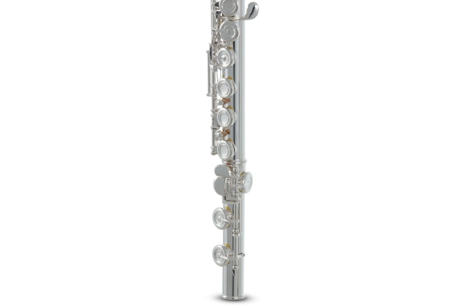 Flaut Roy Benson  FL-602E 
