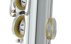 Flaut Roy Benson  FL-602E 