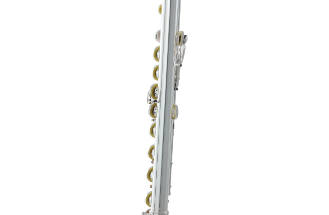 Flaut Roy Benson  FL-602E 