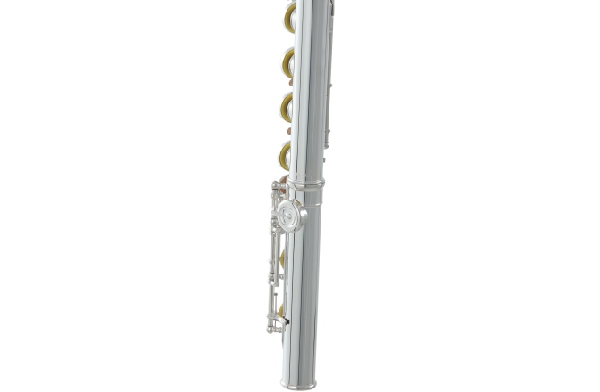 Flaut Roy Benson  FL-602E 