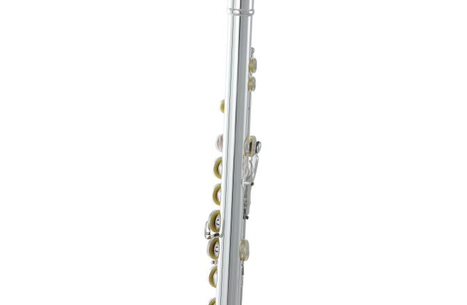 Flaut Roy Benson  FL-602E 