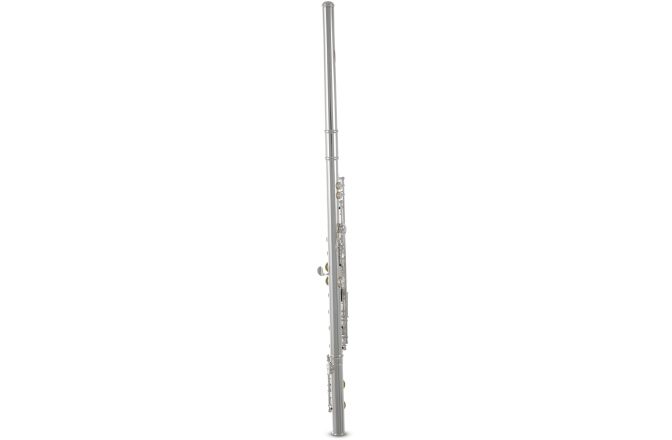 Flaut Roy Benson  FL-602E 