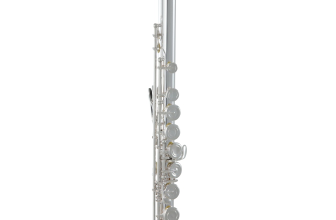 Flaut Roy Benson  FL-602E 