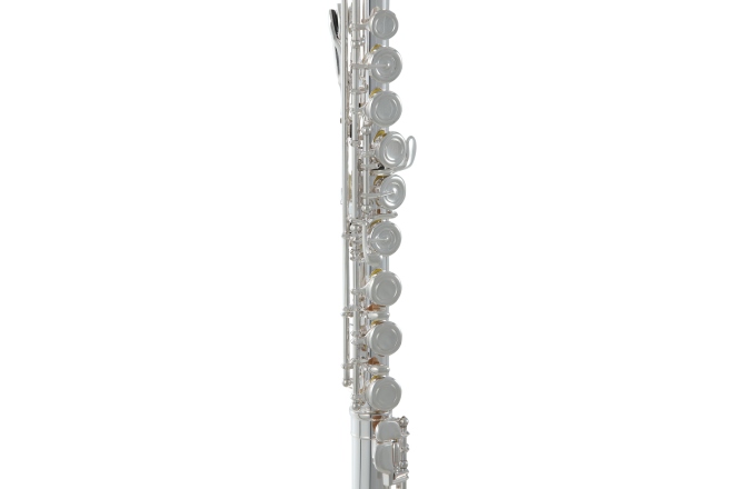 Flaut Roy Benson  FL-602E 