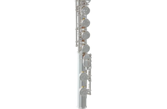 Flaut Roy Benson  FL-602E 