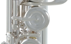 Flaut Roy Benson  FL-602E 