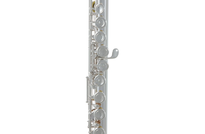 Flaut Roy Benson  FL-602E 