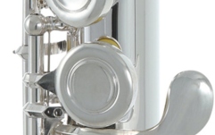 Flaut Roy Benson  FL-602E 