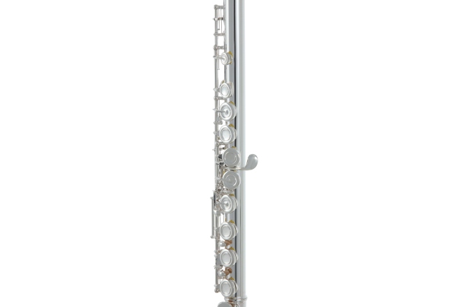 Flaut Roy Benson  FL-602E 