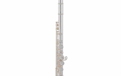 Flaut  Roy Benson FL-602RE 