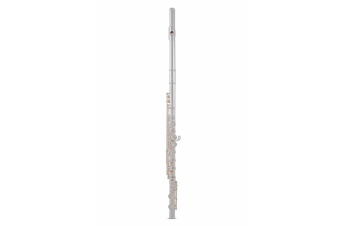 Flaut  Roy Benson FL-602RE 