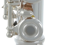 Flaut  Roy Benson FL-602RE 
