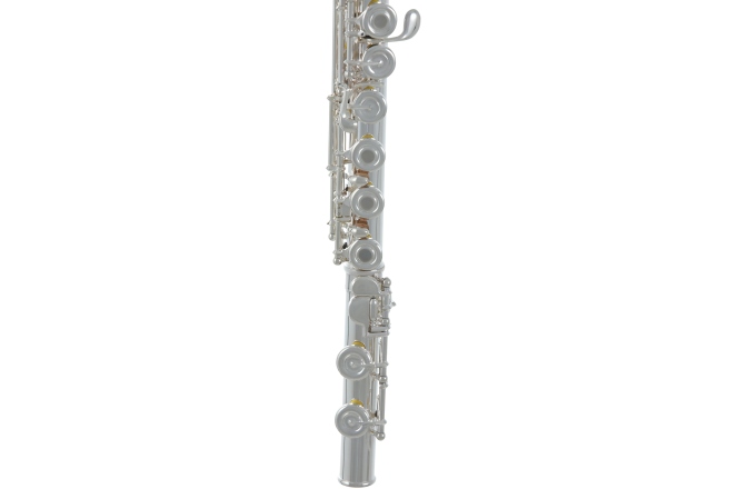 Flaut  Roy Benson FL-602RE 