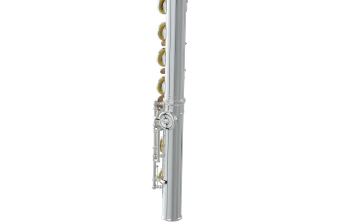 Flaut  Roy Benson FL-602RE 