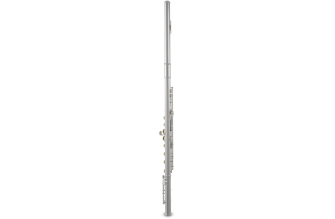 Flaut  Roy Benson FL-602RE 