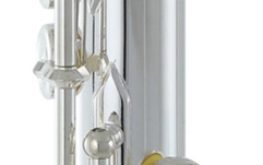 Flaut  Roy Benson FL-602RE 