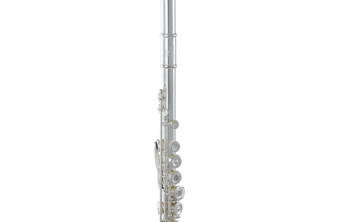 Flaut  Roy Benson FL-602RE 