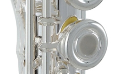 Flaut  Roy Benson FL-602RE 