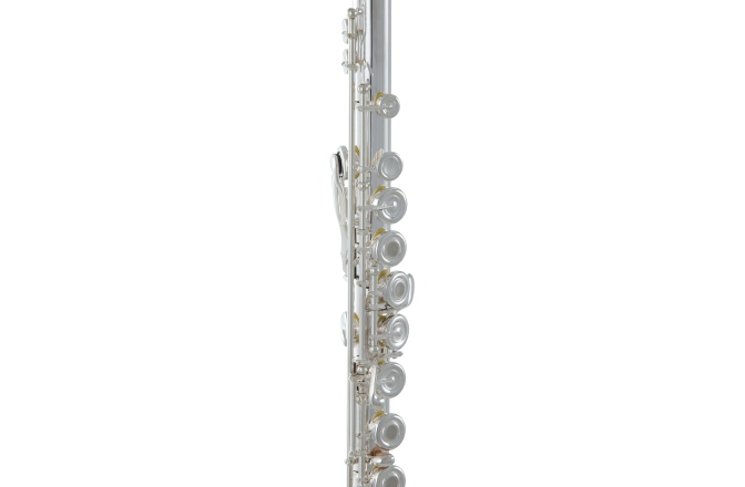 Flaut  Roy Benson FL-602RE 