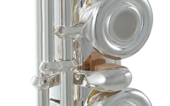 Flaut  Roy Benson FL-602RE 