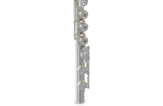 Flaut  Roy Benson FL-602RE 