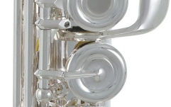 Flaut  Roy Benson FL-602RE 