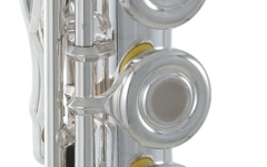 Flaut  Roy Benson  Roy Benson FL-602RI 
