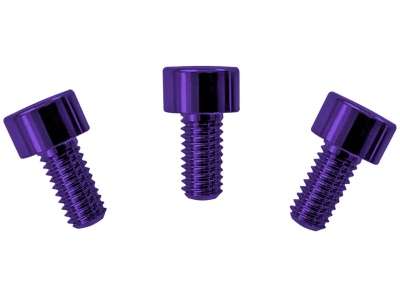  FRNCSPLP - Color Stainless Steel Nut Clamping Screws (3 pcs), Purple
