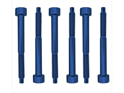  FROSLSBLP - Color Stainless Steel String Lock Screws (6 pcs), Blue