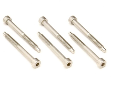  FROSLSSSP - Original String Lock Screws - Stainless Steel