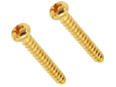  FRSRSGP - String Retainer Screws (2 pcs) - Gold