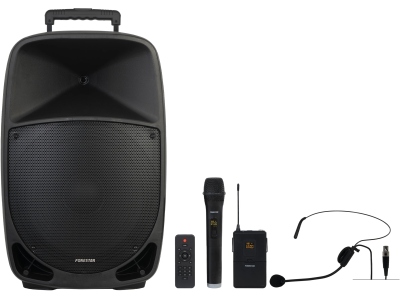 MALIBU-315 Portable Audio