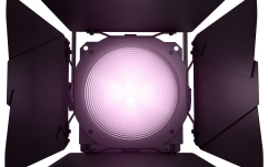 Fresnel  Cameo F2 FC