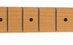 Gât de Chitară Fender American Professional II Telecaster Neck 22 Narrow Tall Frets 9.5" Roasted Maple