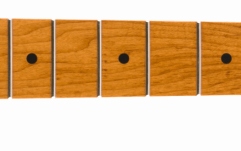 Gât de Chitară Fender Roasted Maple Stratocaster Neck 21 Narrow Tall Frets 9.5" Maple C Shape