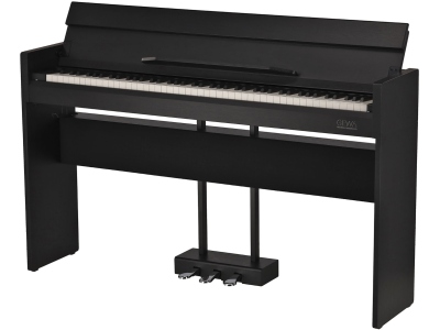 CP 510 Black Matt