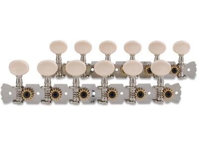  F&S acustică 12 corzi