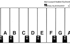 Ghid grafic claviatură No brand Hal Leonard Student Keyboard Guide