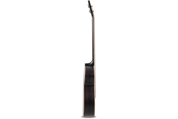 Applause Wood Classics AEB96-5E Jumbo Bass, Matt Black — 2