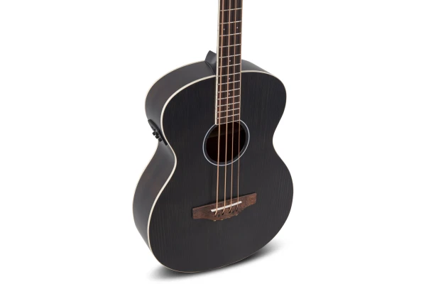 Applause Wood Classics AEB96-5E Jumbo Bass, Matt Black — 4